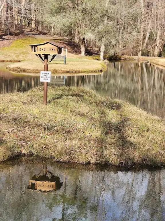 Cozy Cabin: River View With Hot Tub Dahlonega Exterior photo